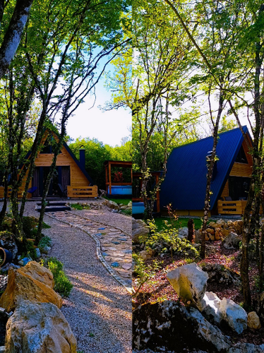Woodland Paradise 