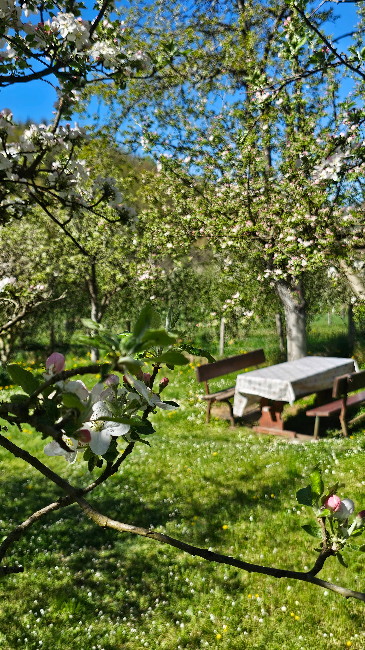 River Valley guest house