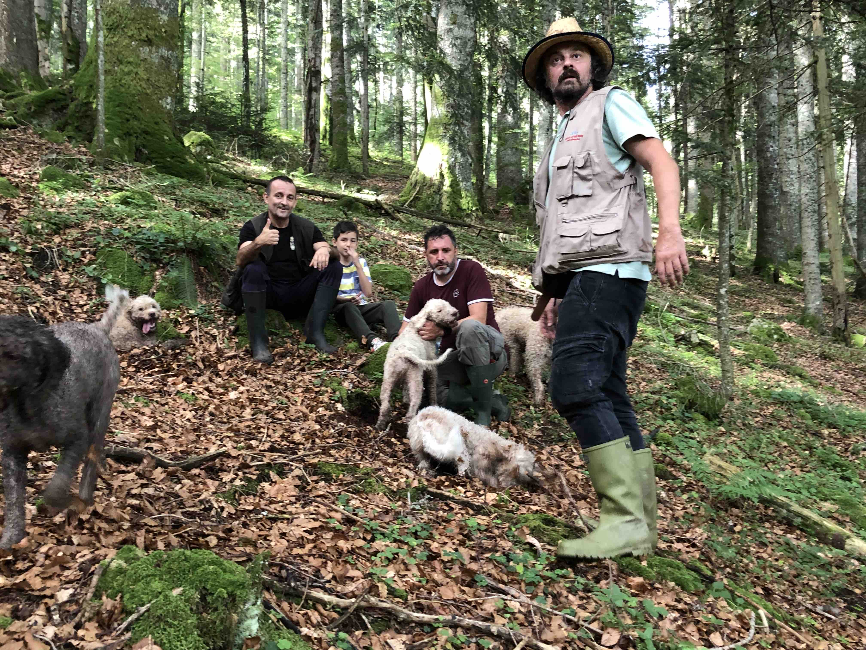 Lov na tartufe - Truffles hunting