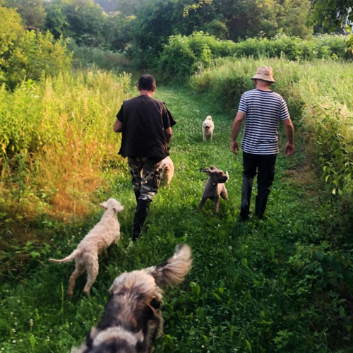 Lov na tartufe - Truffles hunting
