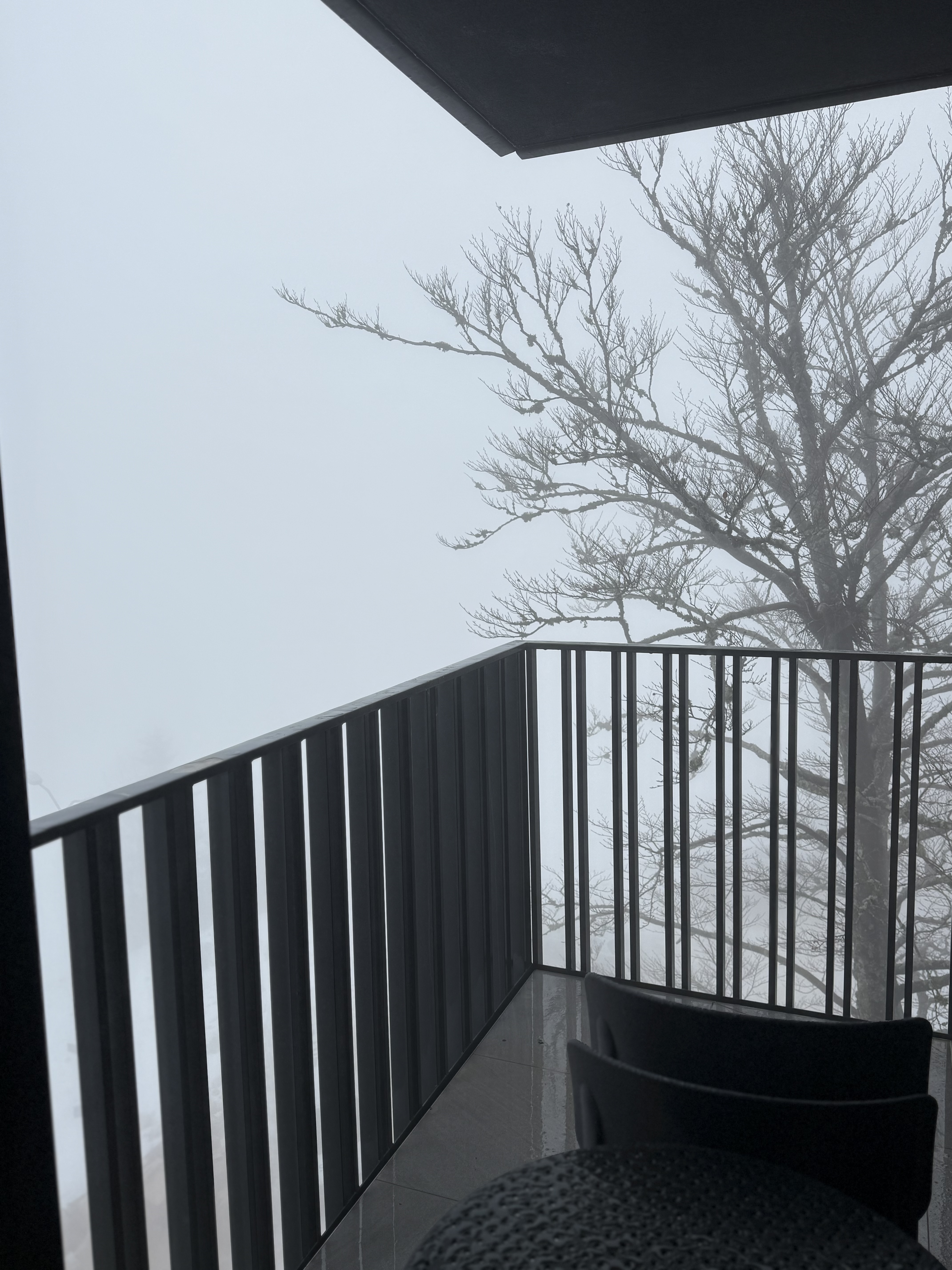 TeDy apartmani Jahorina, Poljice